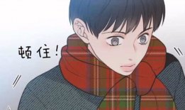 abo动漫,探索未知的人性奥秘与星际冒险