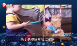 高清搞笑短视频,短视频带你领略欢乐瞬间