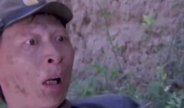 高清搞笑短视频,短视频带你领略欢乐瞬间