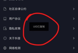 抖音短视频策划方案,创意内容驱动，打造爆款流量秘籍