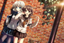 动漫网,探索虚拟世界的奇幻之旅