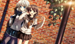 动漫网,探索虚拟世界的奇幻之旅