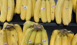 国产大香蕉精品在线,探索国产影视的璀璨星空