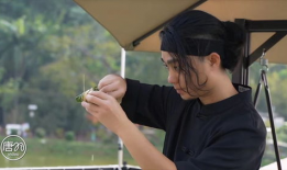 樱桃视频短视频小视频,短视频的魅力瞬间捕捉