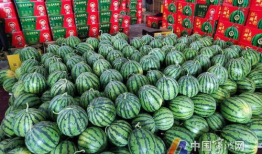 吃瓜最新事件爆料宁波