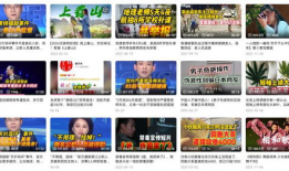 新闻短视频,快节奏下的真相追踪