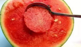 吃瓜爆料比较准的yxh,吃瓜爆料，权威yxh带你直击真相现场