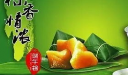 祝福端午节短视频,传承民俗魅力