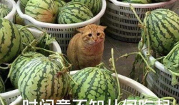 黑网吃瓜爆料是真的吗,真相还是谣言？